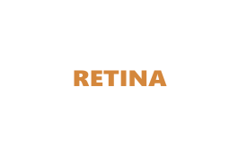 Retina Mobile phones and Computers