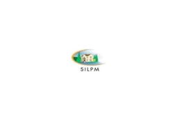 Silver Lake Property Management L.L.C