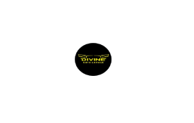 Divine Auto Garage